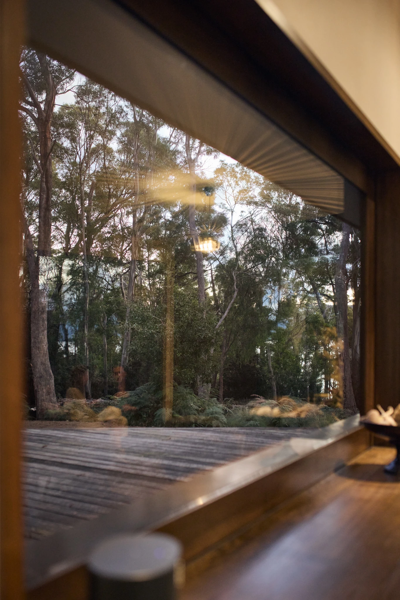 Interior image of large window looking out to bushland