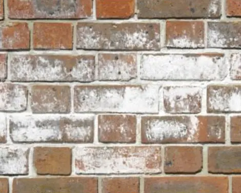 Efflorescence on bricks