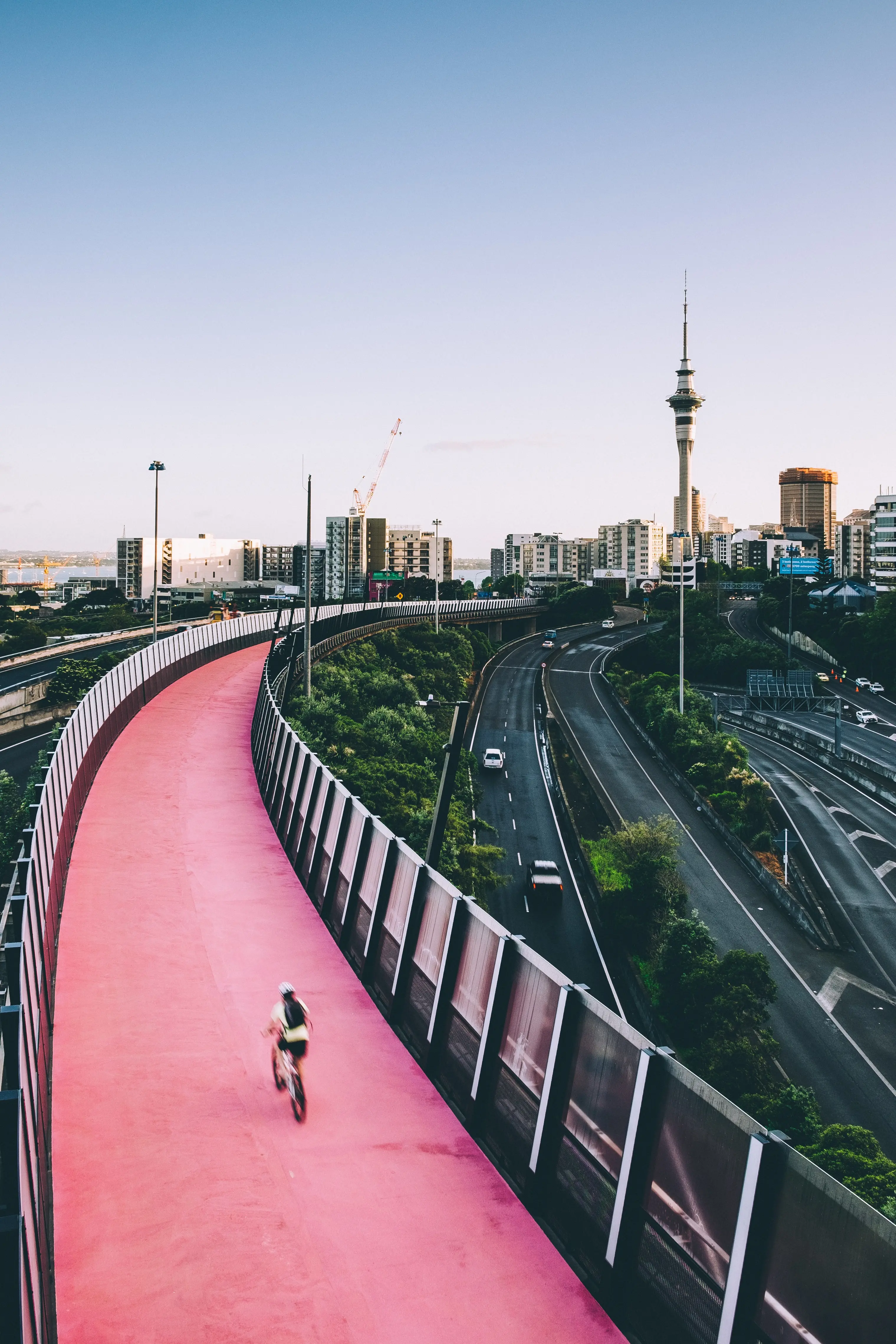 colourful bridge in auckland with cyclist on it