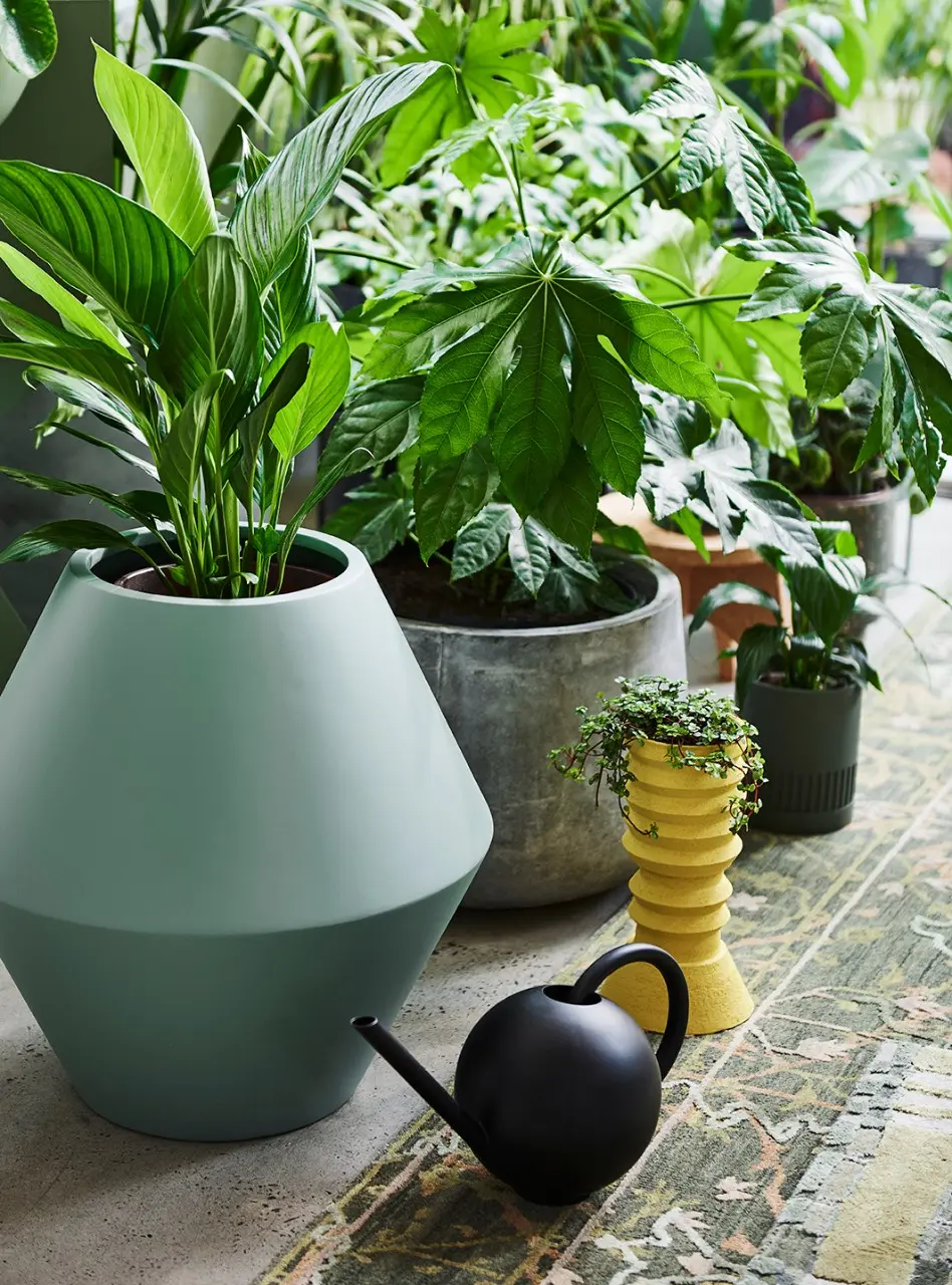 interior-room-greenflowerpot