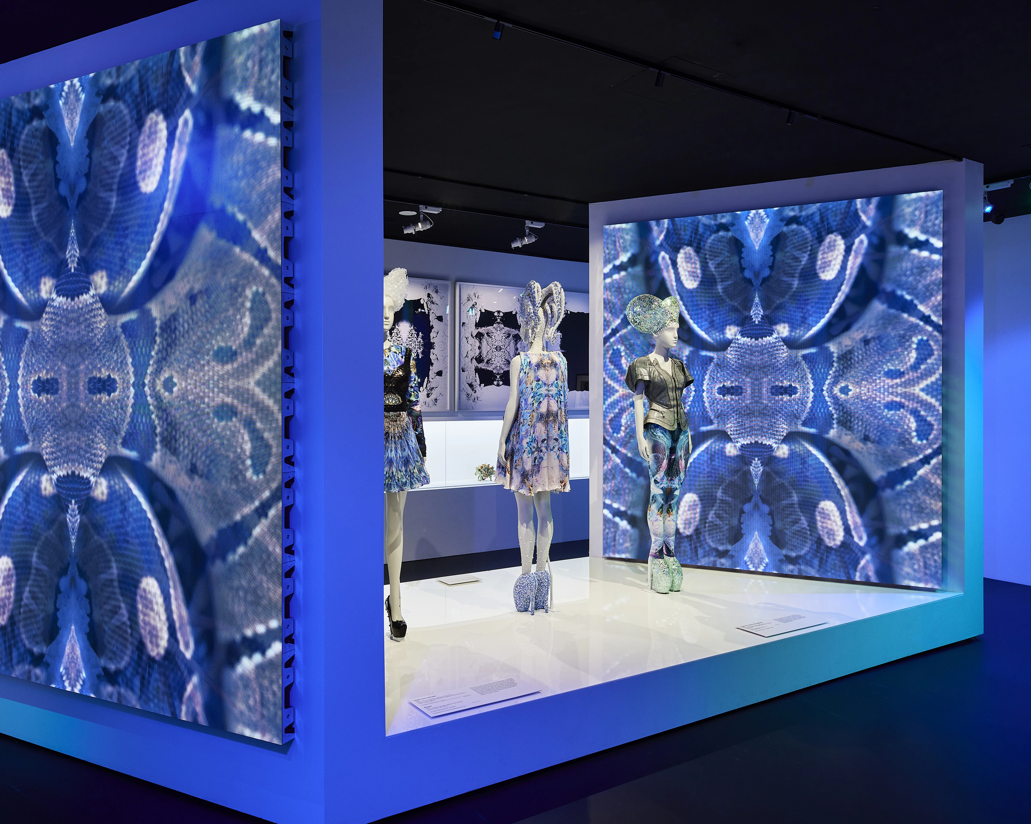 Alexander McQueen Installation at the National Gallery of Victoria with blue light background