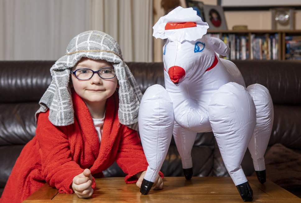 Mum Unintentionally Sends Five-Year-Old Son to School with Blow-Up Sex Sheep