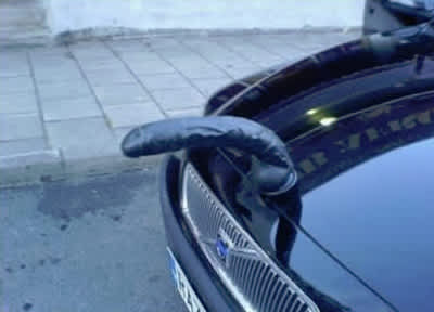 Dildo On Bonnet