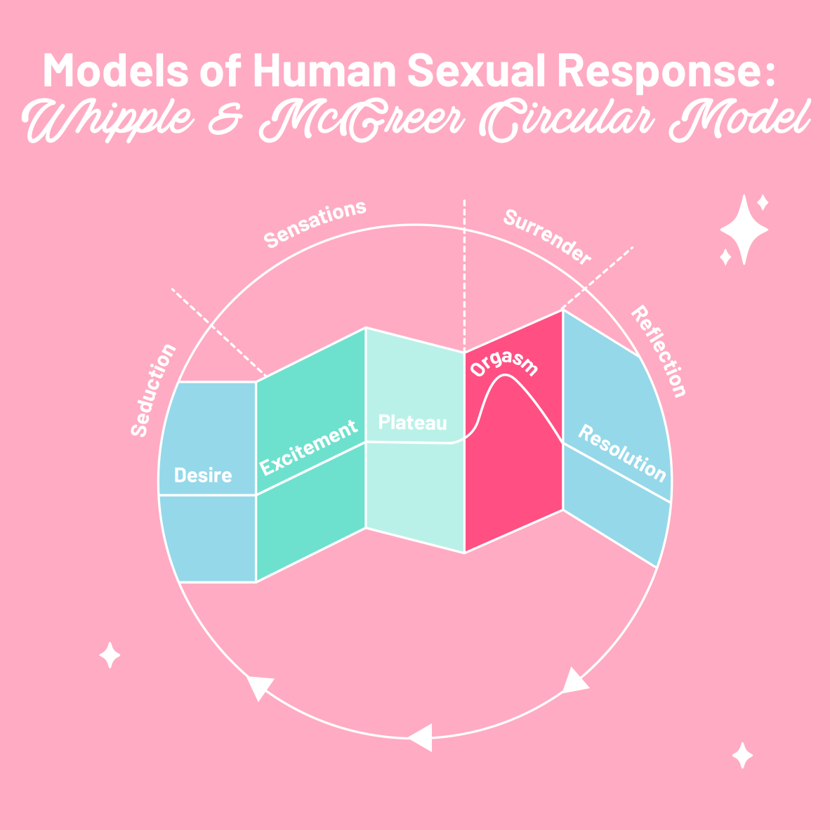 Whipple & McGreer Circular Model of sexual response
