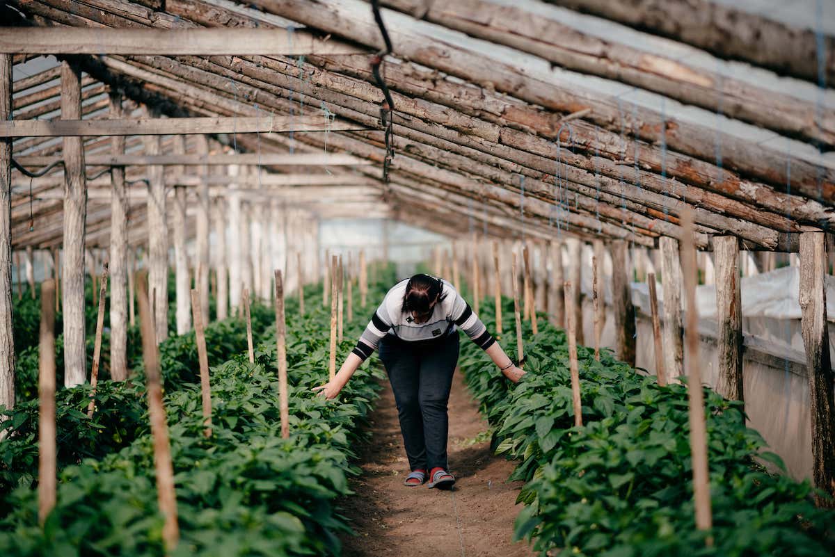 Tatiana takes care of the plants on her farm