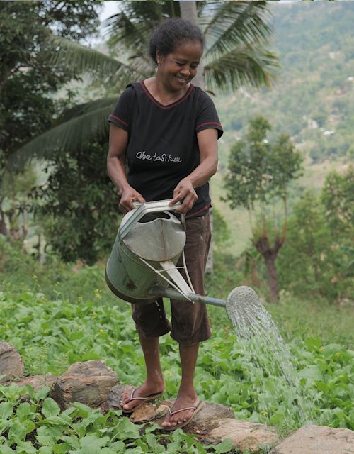 Aurelia, farmer, EAST Timor