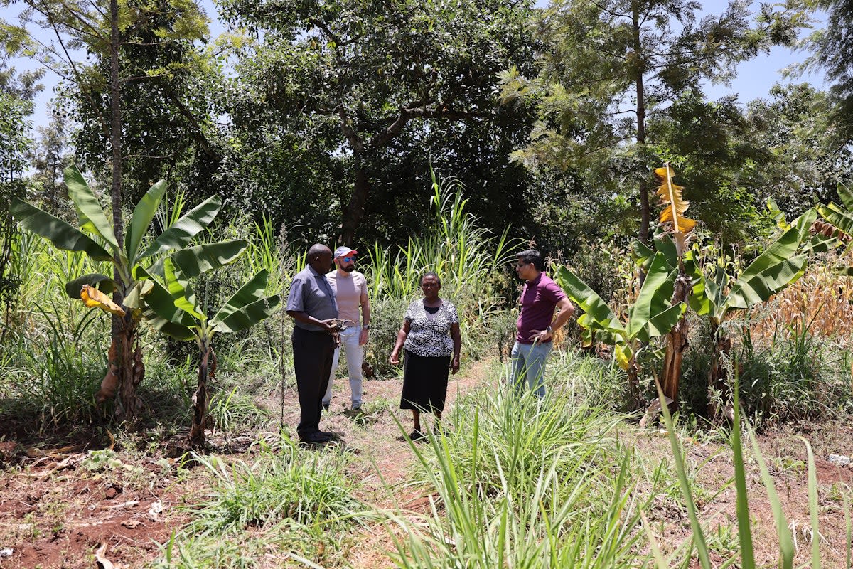 Touring Lucy's farm in Kenya, which included banana and avocado trees in addition to her poultry operation