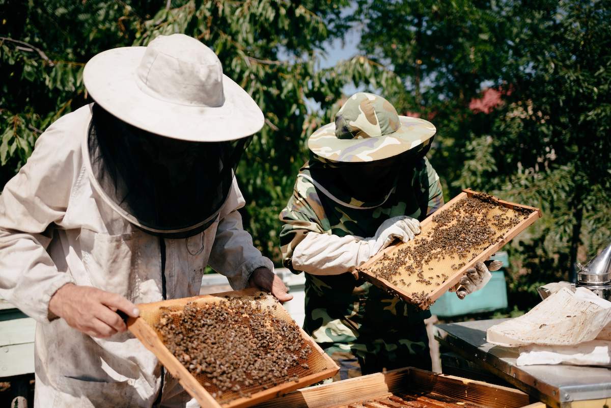 Ludmila, beekeper, Moldova