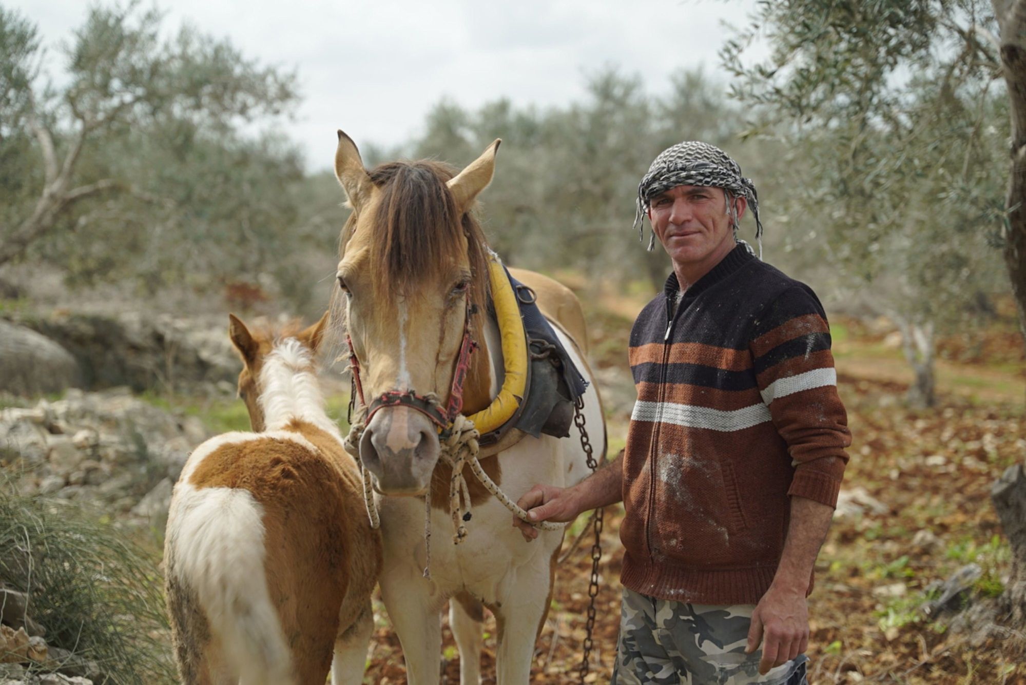 WITH THE HELP OF A LOAN, MUTASEM EXPANDED HIS LIVESTOCK AND AGRICULTURAL BUSINESS.