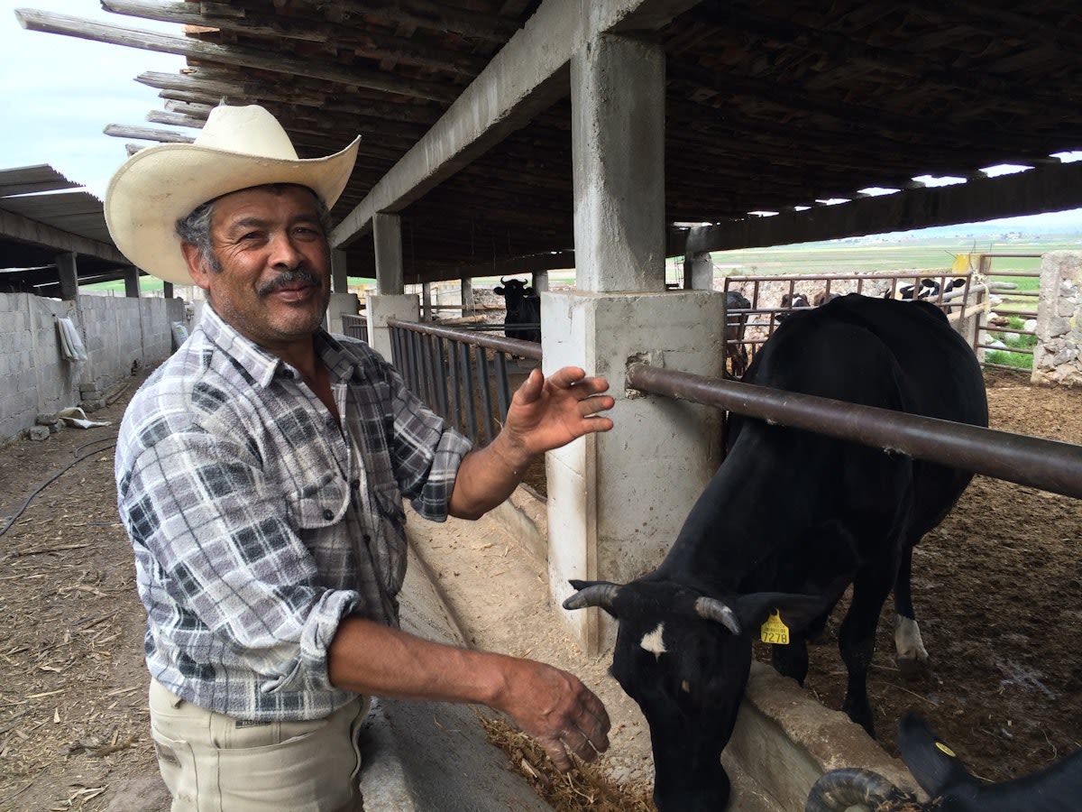 Antonio is an experienced farmer in Mexico, and used a Kiva loan to support an investment in a eco-friendly biodigester.