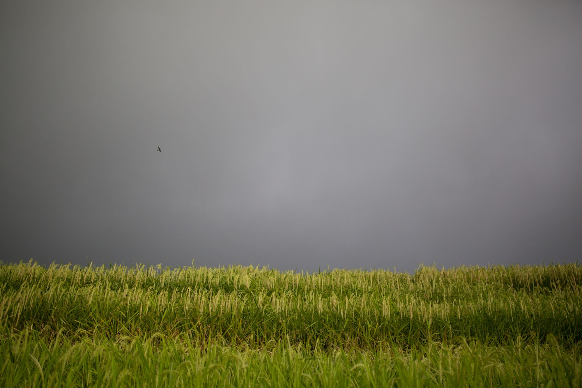 The cloudy sky in Indonesia by Brandon Smith.