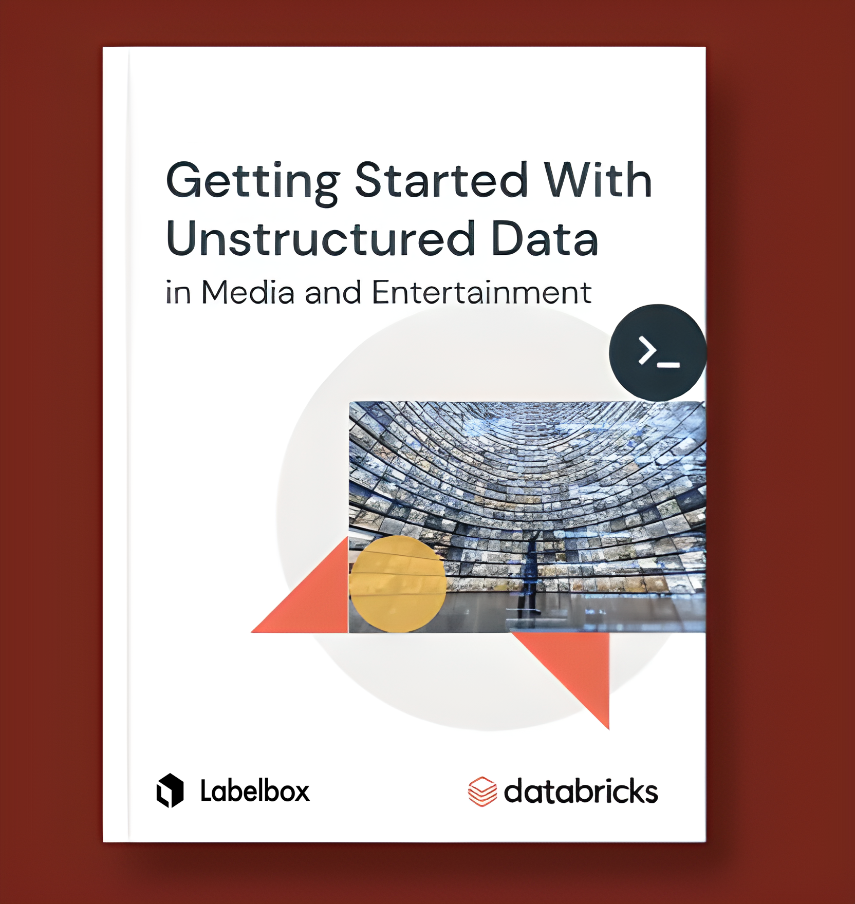 databricks whitepaper cover - M&E