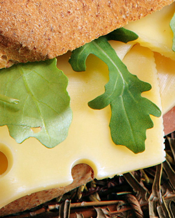 panino-speck-rucola-e-yogurt
