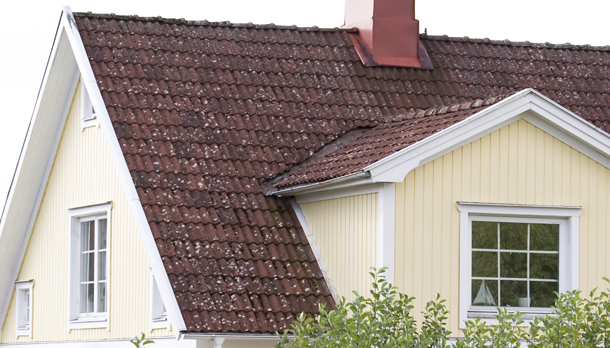 Før takbytte Benders
