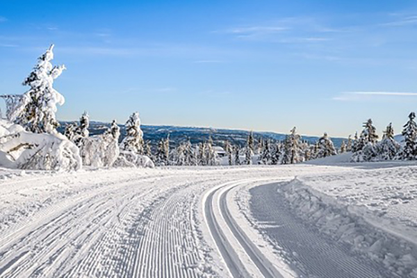 Lifjell Hyttegrend 2