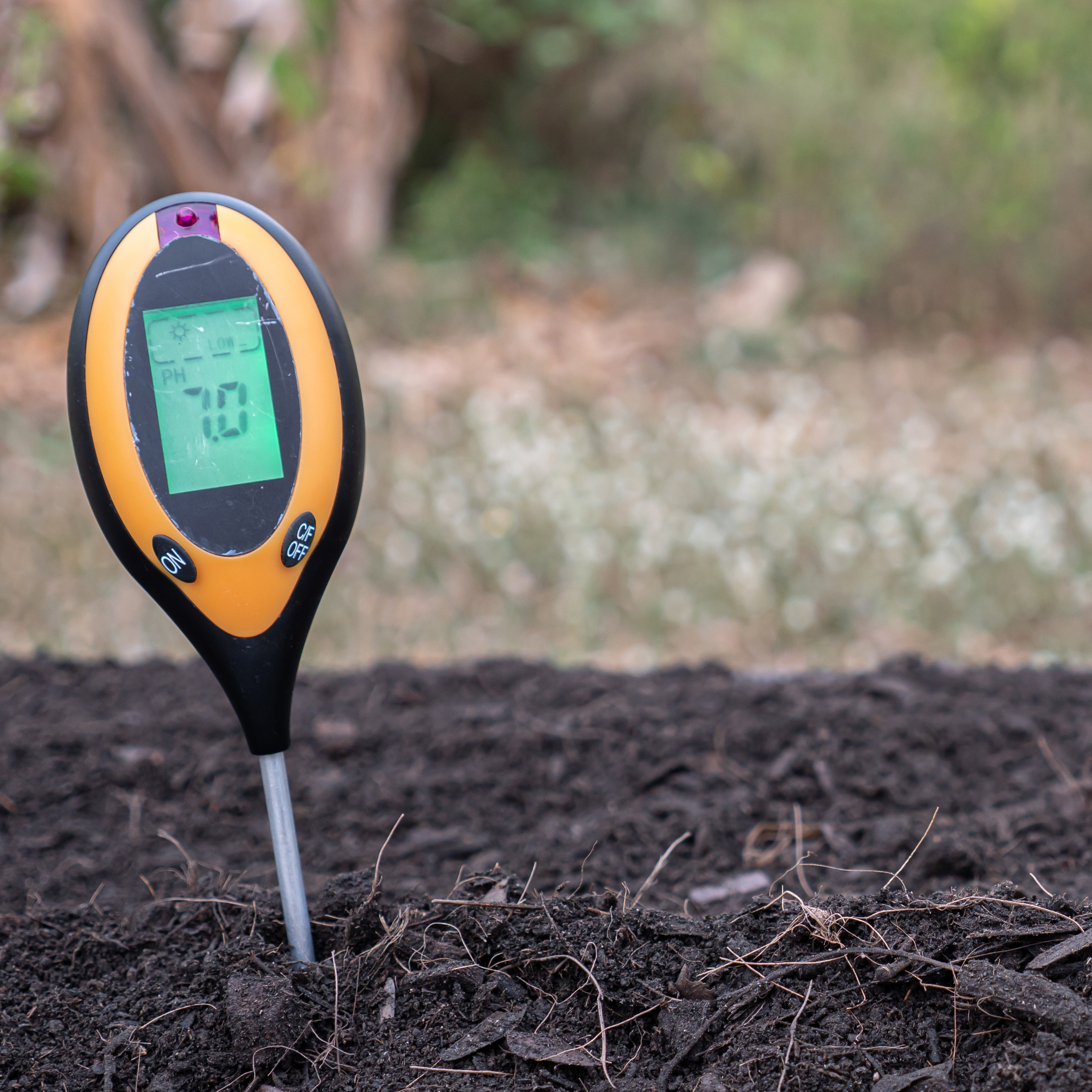 pH-testing av jord | Foto: Shutterstock 2277322483