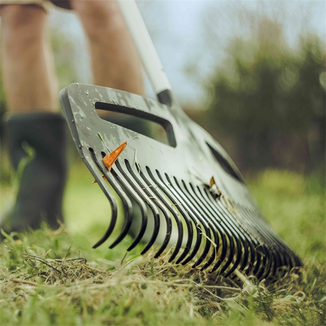 Grønt gress som spirer blant brunt gress | Foto: Fiskars