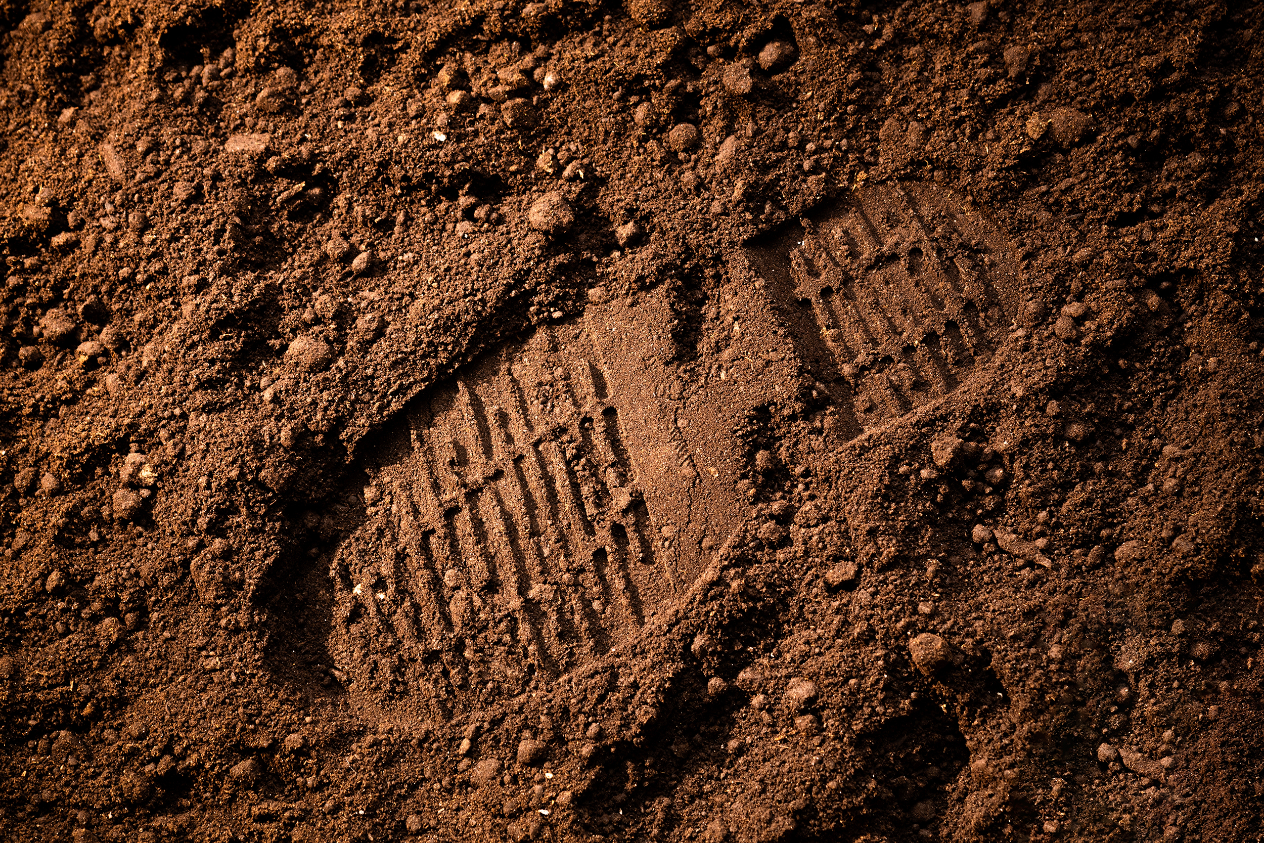 Fotavtrykk i jord | Shutterstock 2379911997
