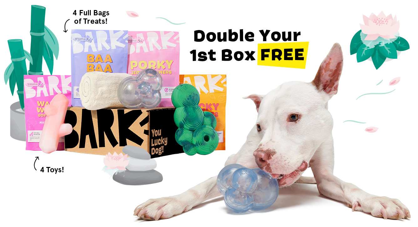Double your 1st Box FREE - 4 Full Bags of Treats! 4 Toys!