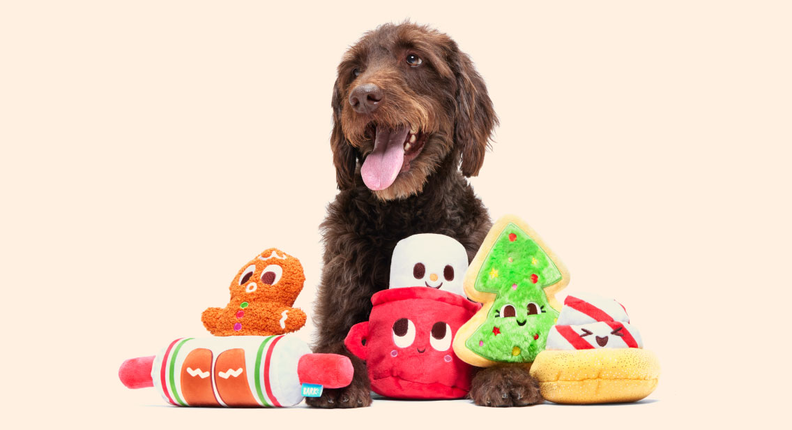 Dog surrounded by holiday themed plush BarkBox toys