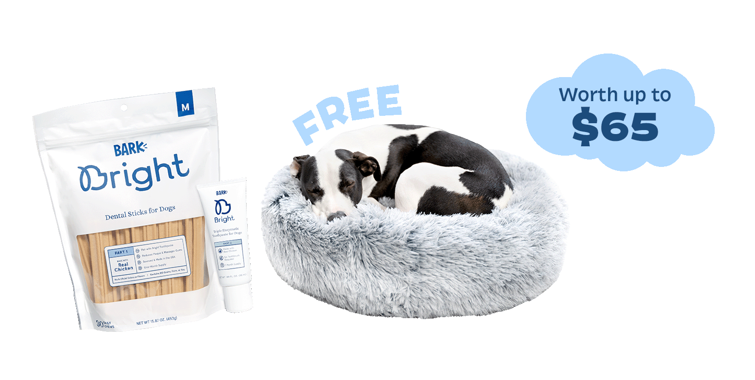 DENTAL DUO - FREE BED - Worth up to $65 - CHIPPED MEMORY FOAM MATTRESS - LUXURIOUS VEGAN FUR
