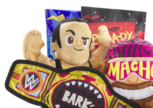 WWE themed BarkBox