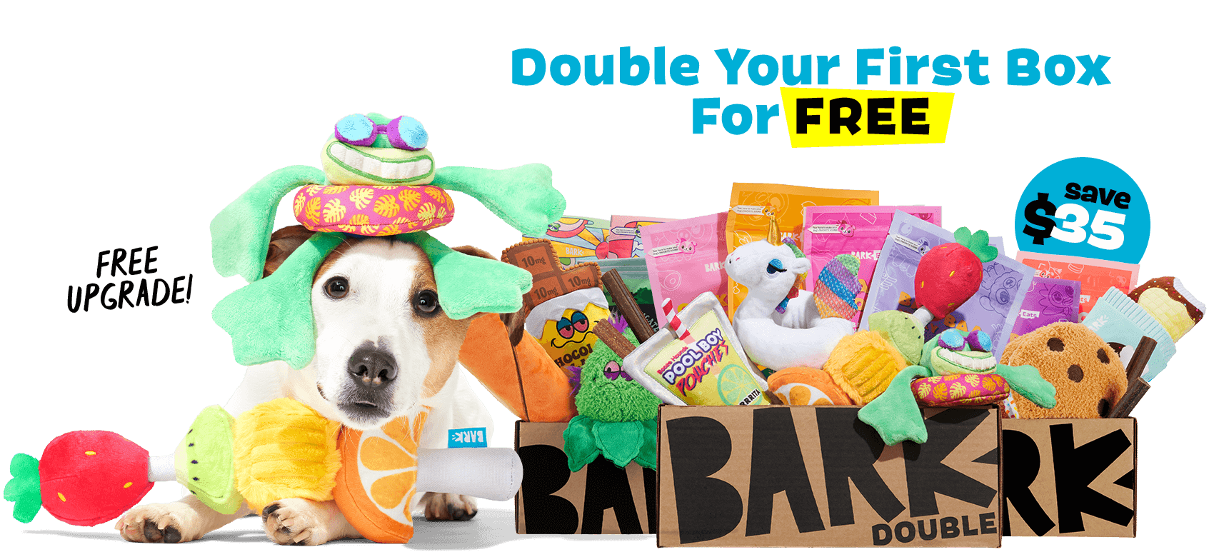 Double Your First Box For FREE - Save $35 - FREE UPGRADE!