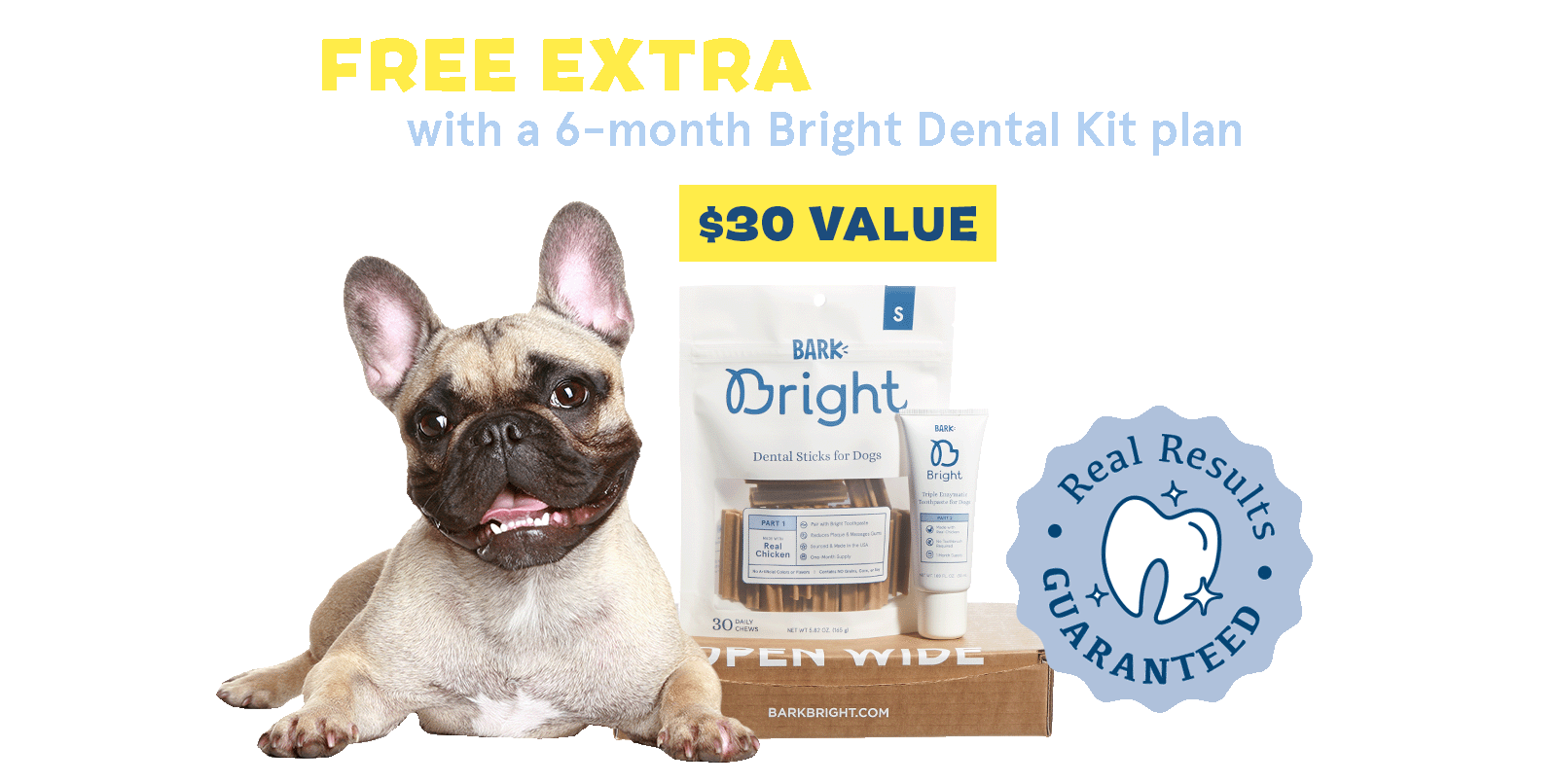 FREE EXTRA BRIGHT KIT - with a 6-month Bright Dental Kit Plan - $30 VALUE - Real Results GUARANTEED