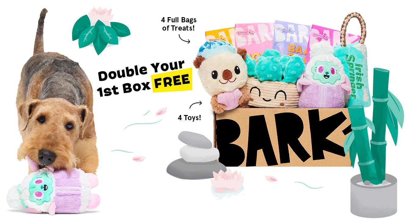 Double Your 1st Box FREE - 4 full bags of treats, 4 toys