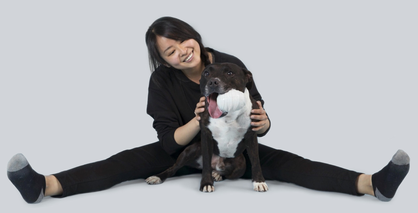 Human petting a happy dog