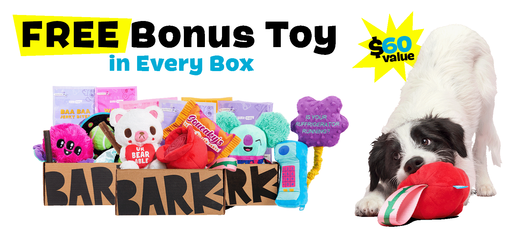 FREE Bonus Toy in Every Box - $60 value
