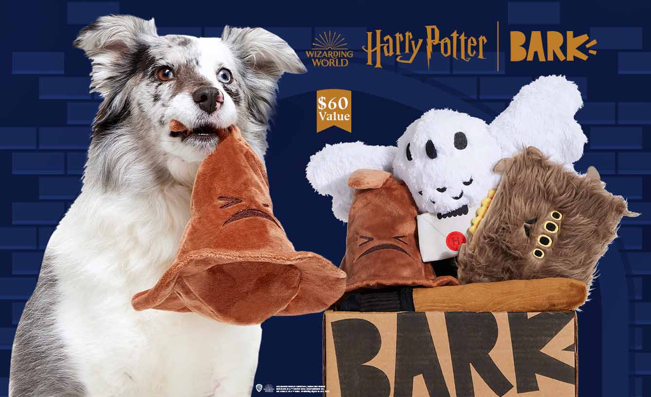 Harry Potter | BARK - $60 Value