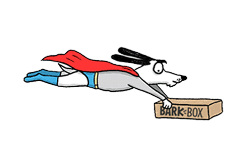 Flying dog wearing cape and carrying a BarkBox