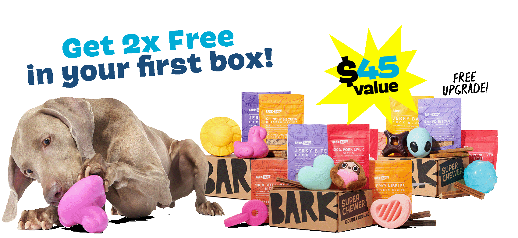 Get 2x Free in your first box! $45 value - FREE UPGRADE!