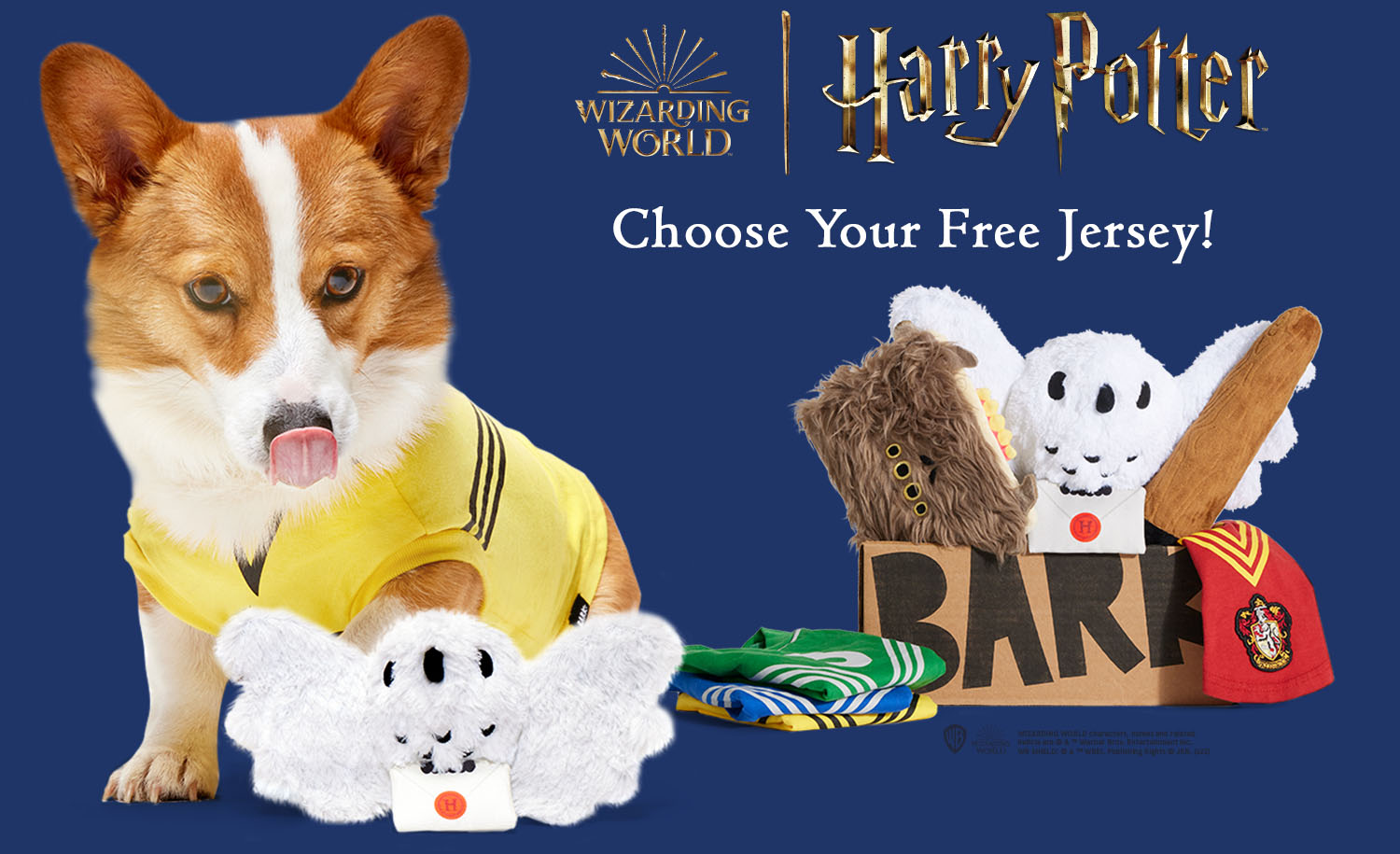 WIZARDING WORLD | Harry Potter - Choose Your Free Jersey!