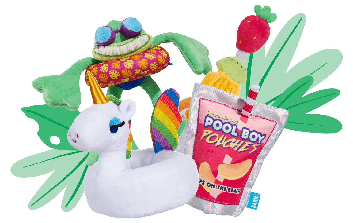 Pool Party themed toys - unicorn float, juice pouch, and frog wearing an inner tube
