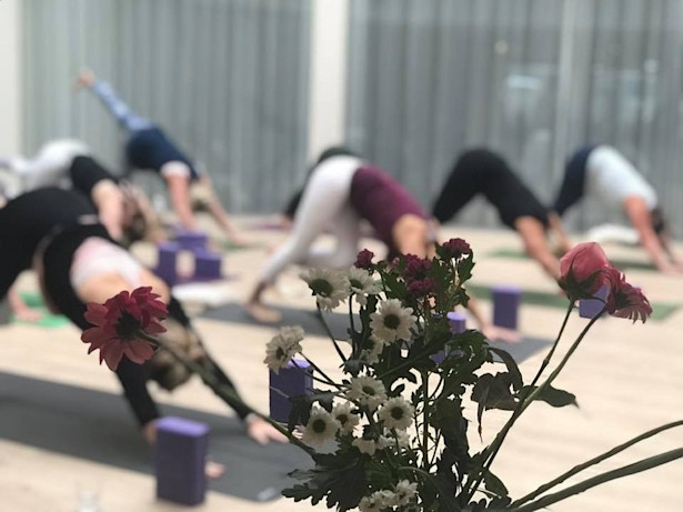 Heilsa og spa hádegisjóga