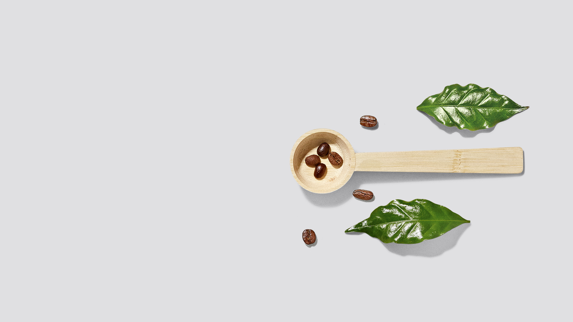 paulig-hero-dektop-sustainability