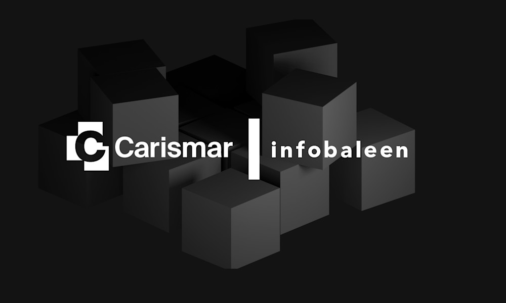 Image - Infobaleen partner