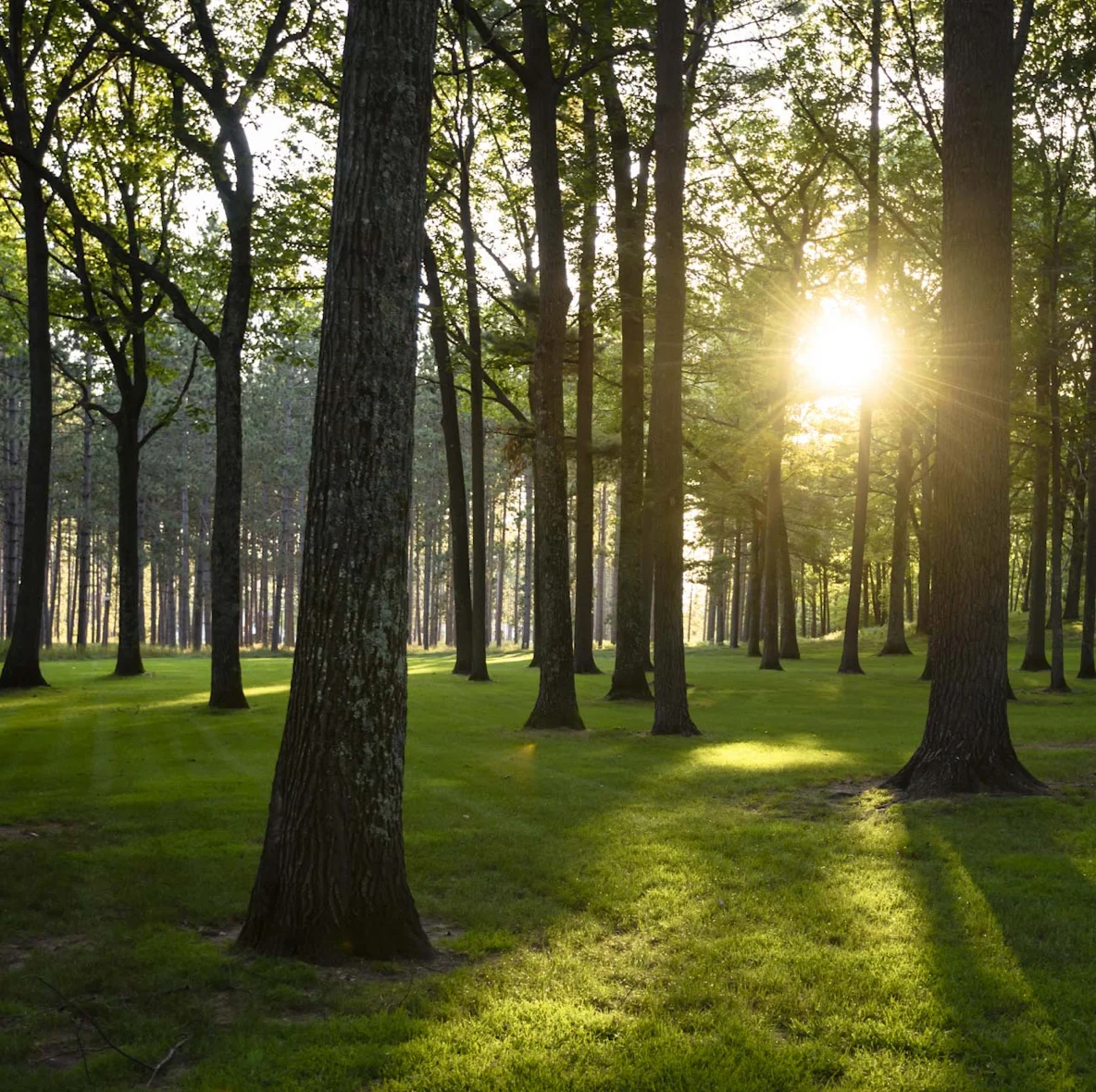 At the heart of Michigan’s Upper Peninsula