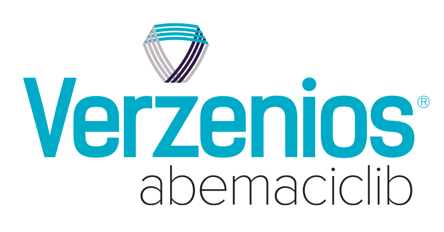 VZ DK logo