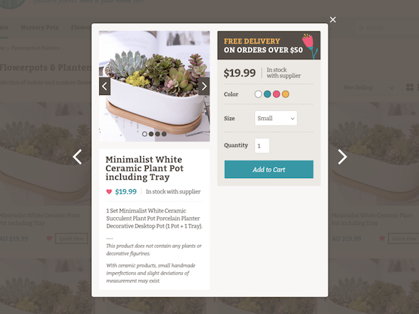 dribbble-quickview-modal_2.png
