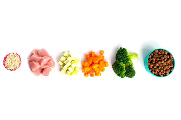 Nutrition 1