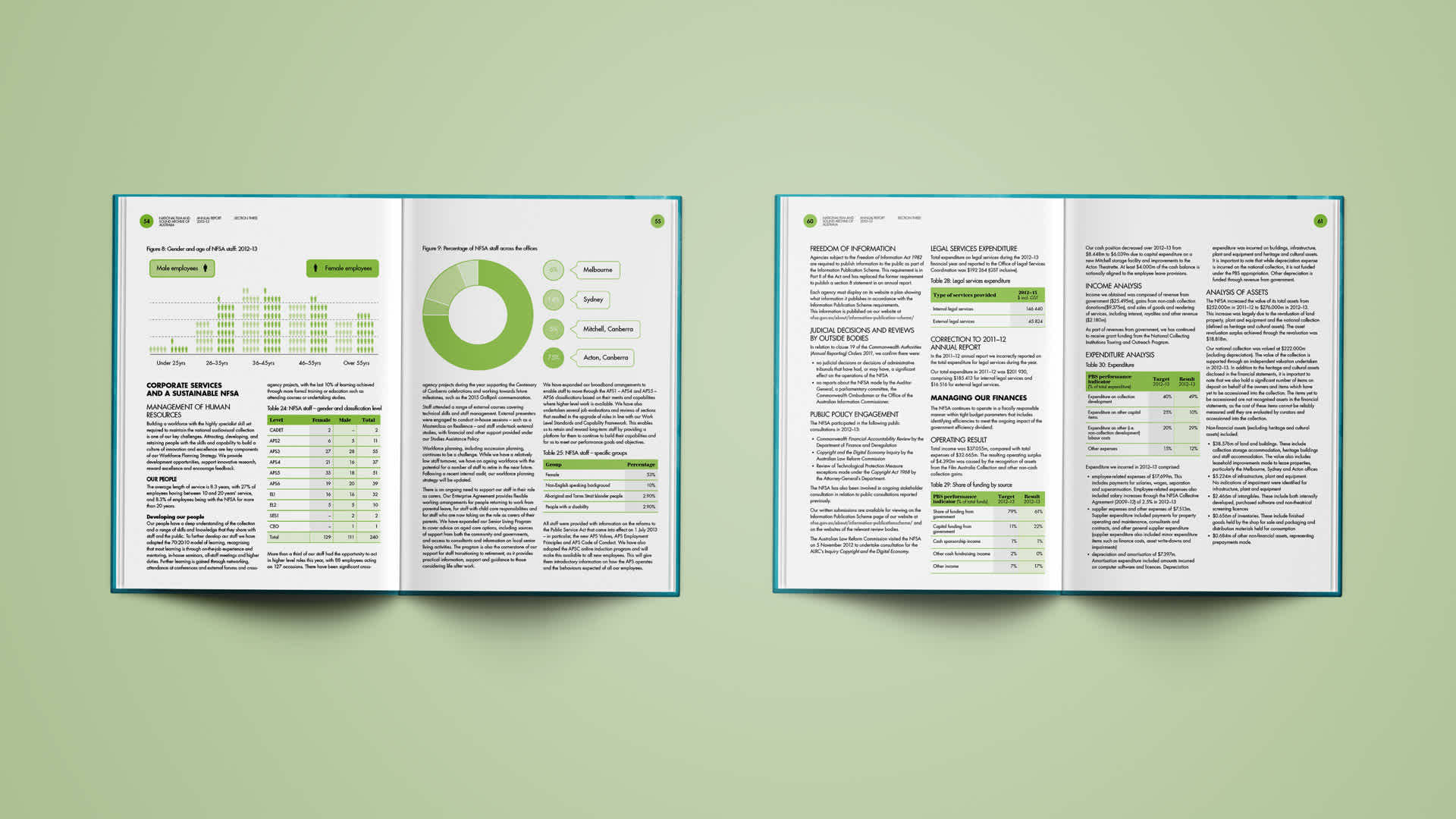 NFSA Annual Report_1