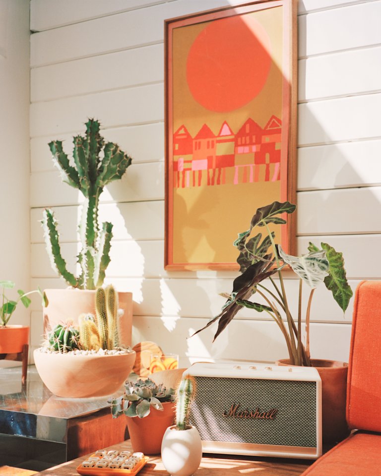 A living room with cactus plants and a cream Marshall speaker.