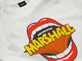 Close-up of the Mouth Reissue T-shirt print on the front.