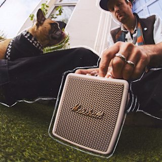 A person sitting on the grass next to a French Bulldog and Marshall Stockwell III Cream speaker.