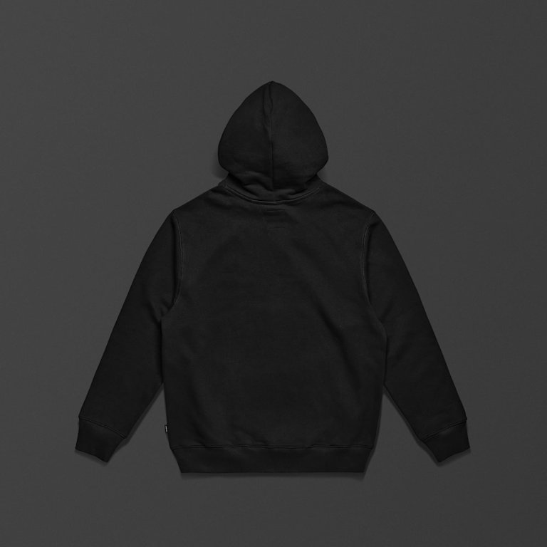 Standard Issue Script Hoodie in black from the back