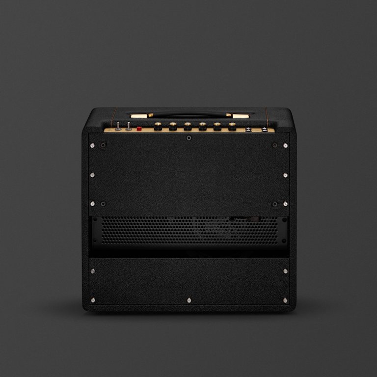 Back of a Combo SV20C - Studio Vintage