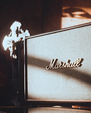 The Marshall Woburn III Brown speaker under the sunlight